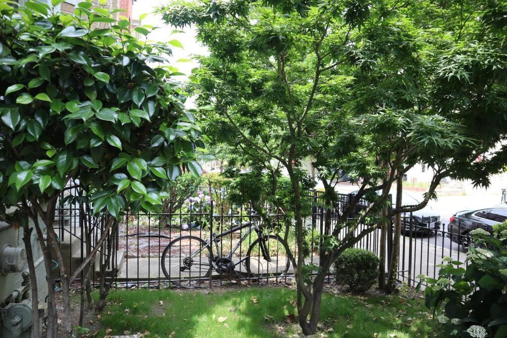 3-Bedroom House With Cute Patio Explore Dc On Foot Washington Exterior foto